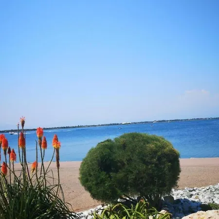 Apartment 4 Pers - - Piscine, Parkings, Terrains De Sport, Fitness - Fr-1-195-25 Le Barcares